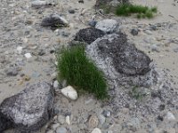 img (255)